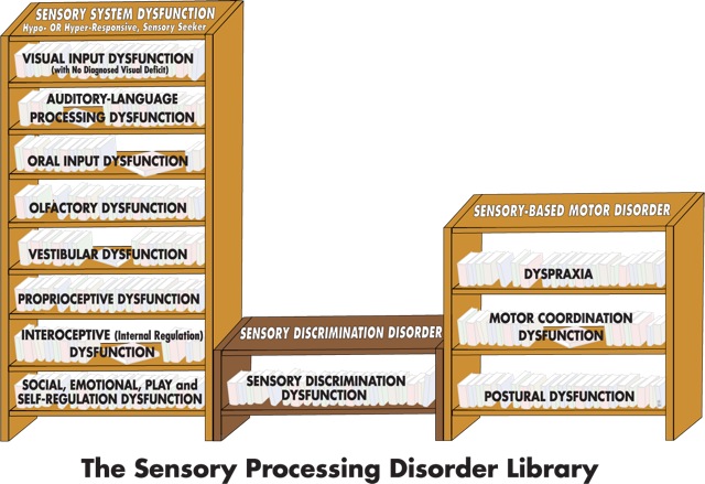 Quick and Easy Guide to the Different Types of Sensory Processing Disorder Part 2 of 2: The SPD Library